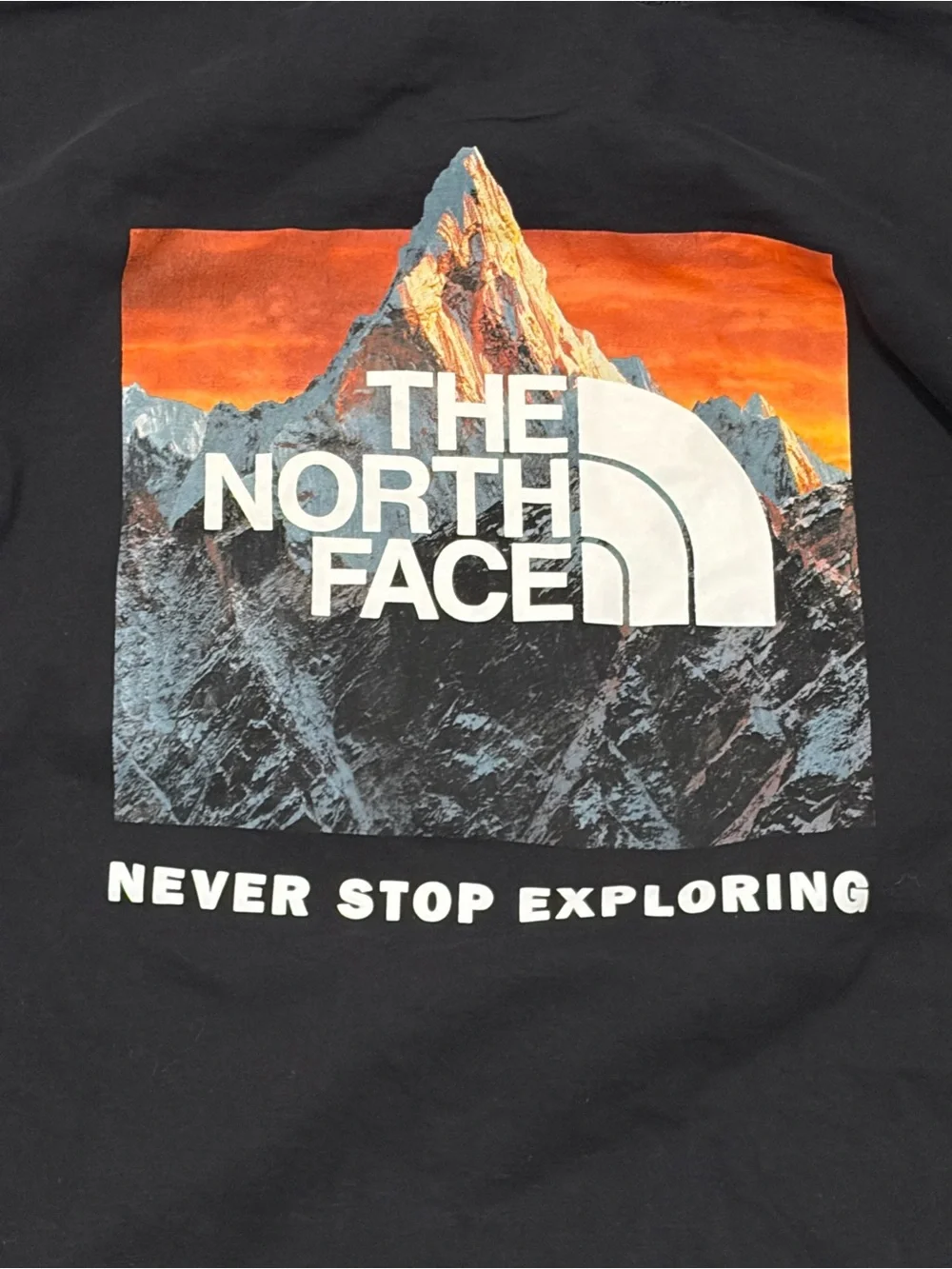 The North Face Men's Long Sleeve Box NSE Tee